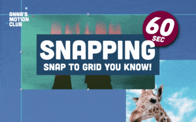 Snap to grid i After Effects