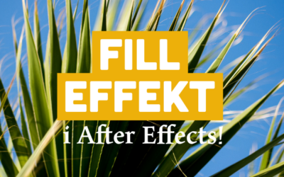 Fill Effect i After Effects