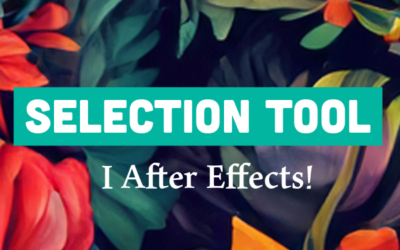 Selection tool i After Effects