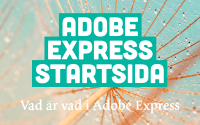 Startsidan i Adobe Express