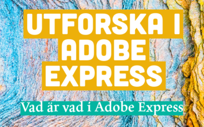 Utforska i Adobe Express